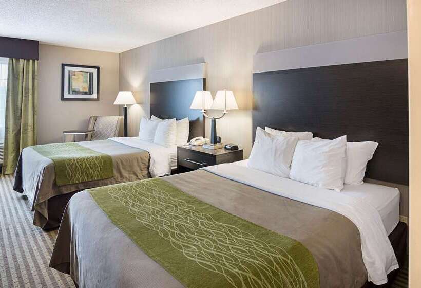 هتل Comfort Inn Camden