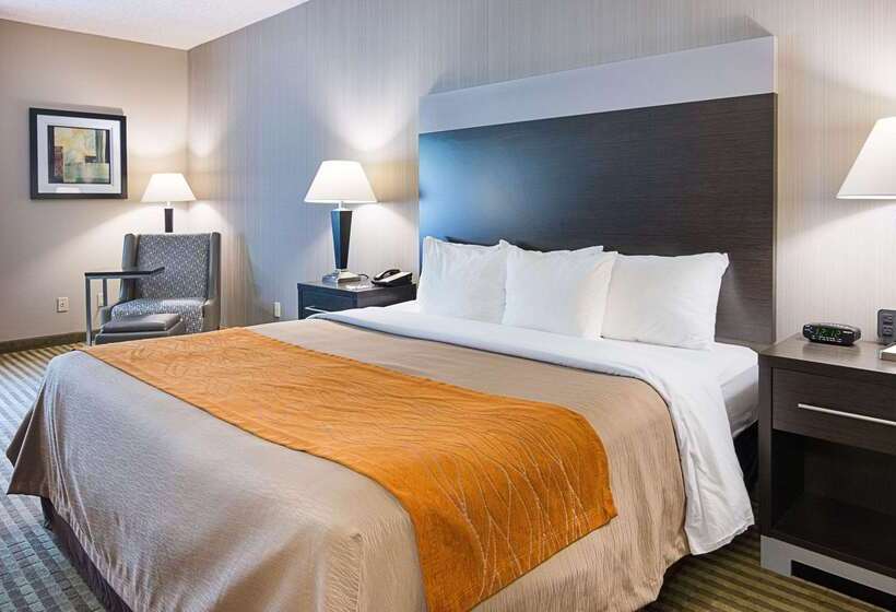 هتل Comfort Inn Camden