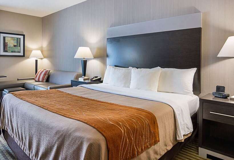 هتل Comfort Inn Camden