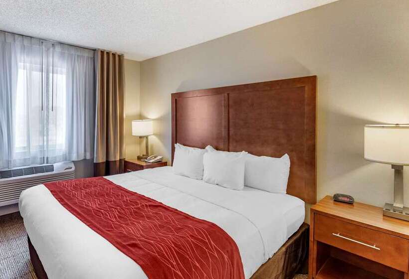酒店 Comfort Inn Denver West Arvada Station