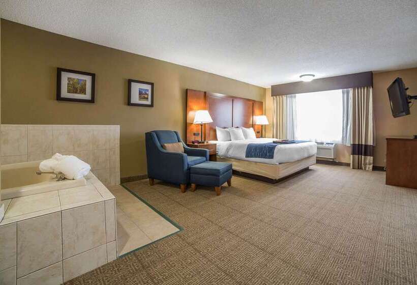 فندق Comfort Inn Grand Junction I70
