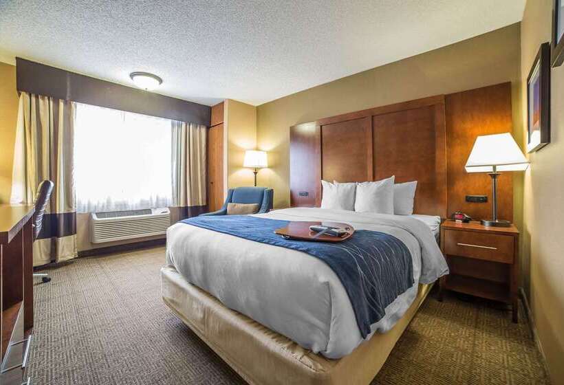 هتل Comfort Inn Grand Junction I70