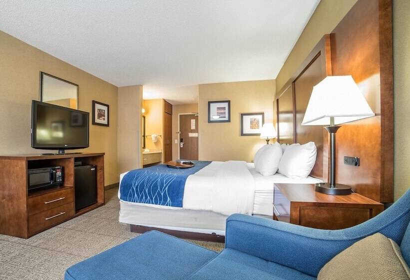 فندق Comfort Inn Grand Junction I70