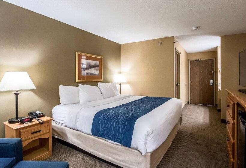فندق Comfort Inn Grand Junction I70