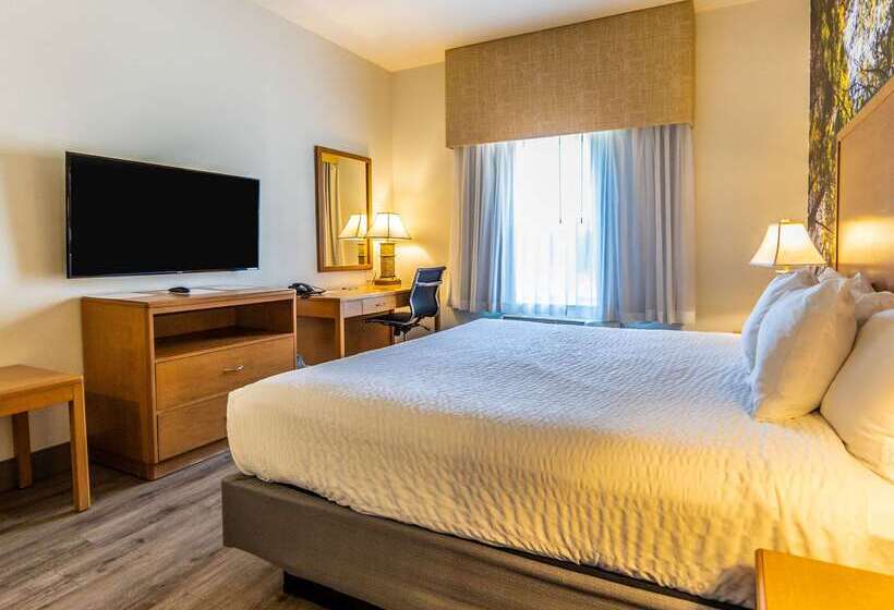 호텔 Comfort Inn Hanford Lemoore