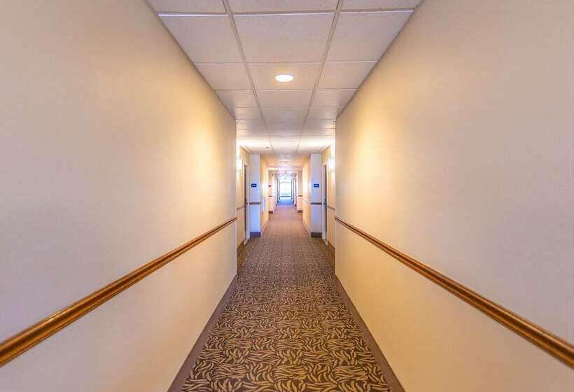 호텔 Comfort Inn Hanford Lemoore