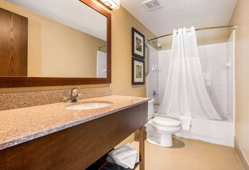 فندق Comfort Inn Lathrop Stockton Airport