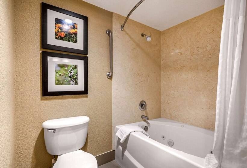 فندق Comfort Inn Lathrop Stockton Airport