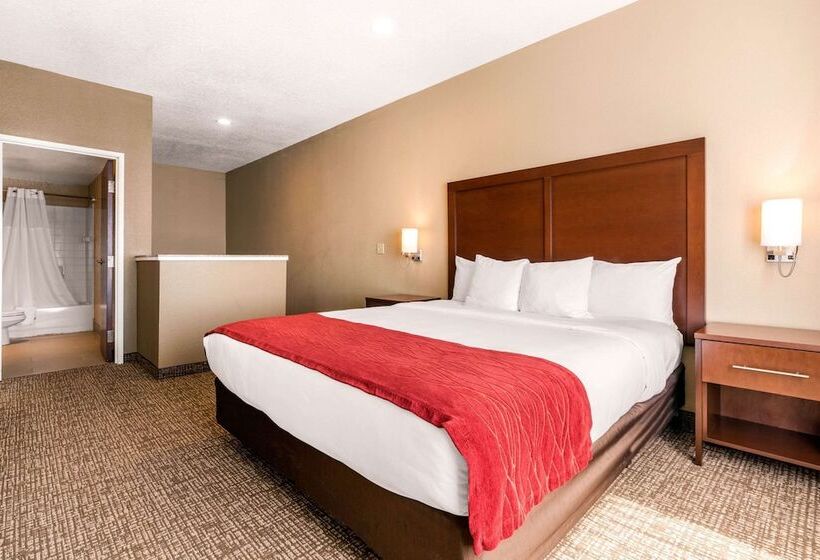 فندق Comfort Inn Lathrop Stockton Airport