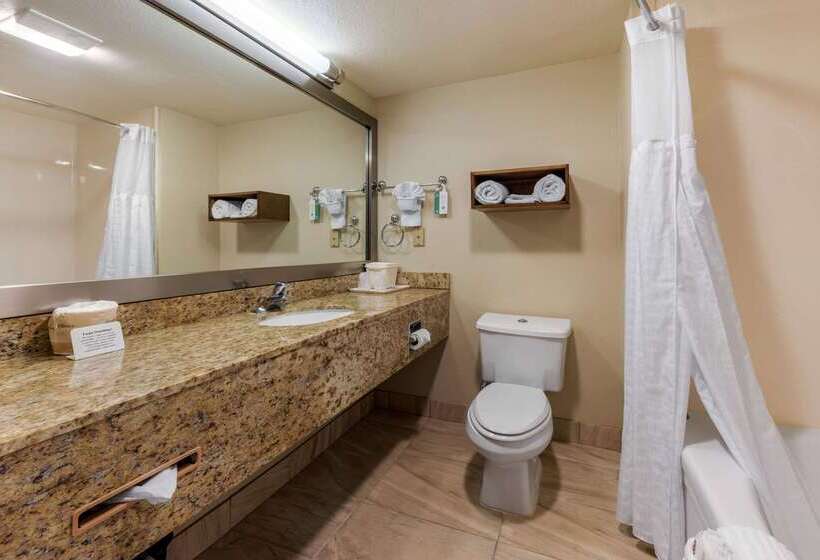 ホテル Comfort Inn South San Jose  Morgan Hill