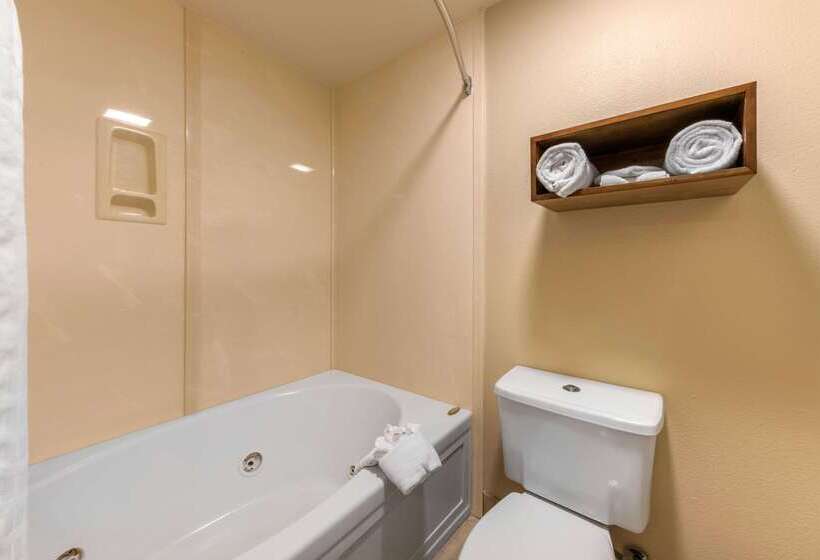 ホテル Comfort Inn South San Jose  Morgan Hill