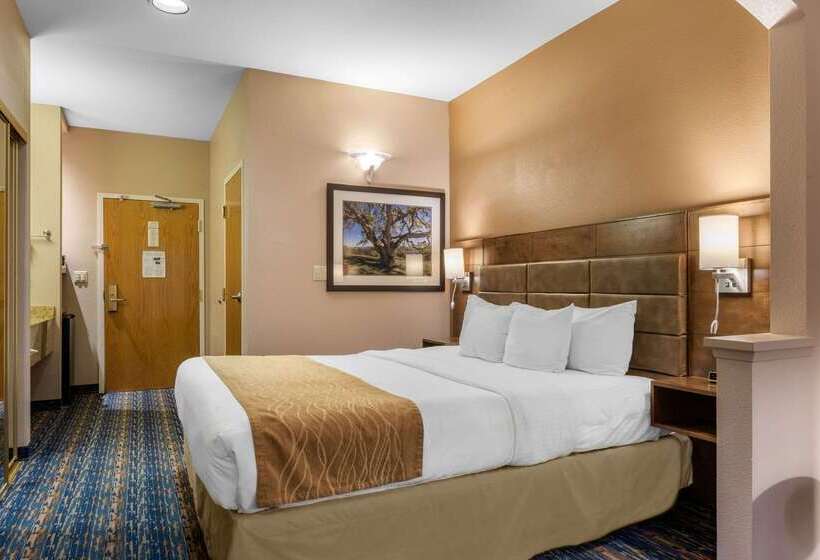 ホテル Comfort Inn South San Jose  Morgan Hill