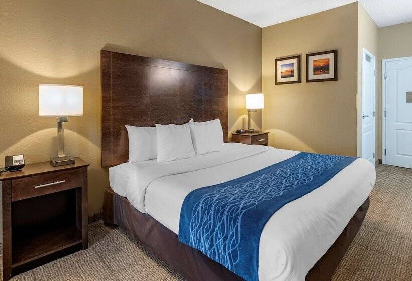 فندق Comfort Inn & Suites Bryant   Benton