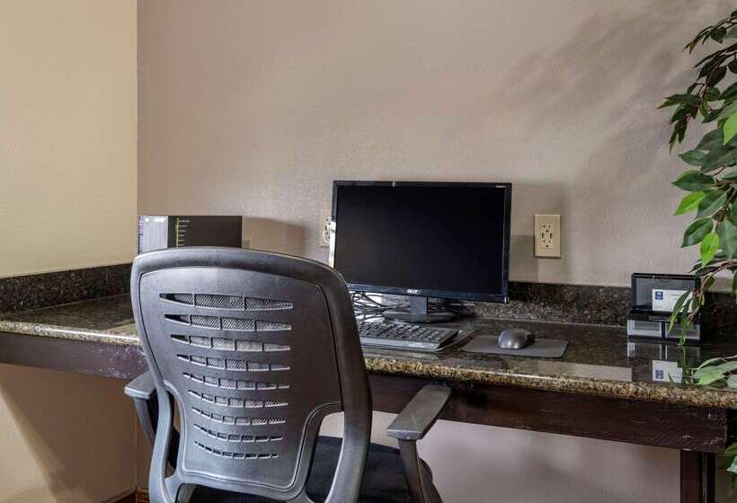 فندق Comfort Inn & Suites