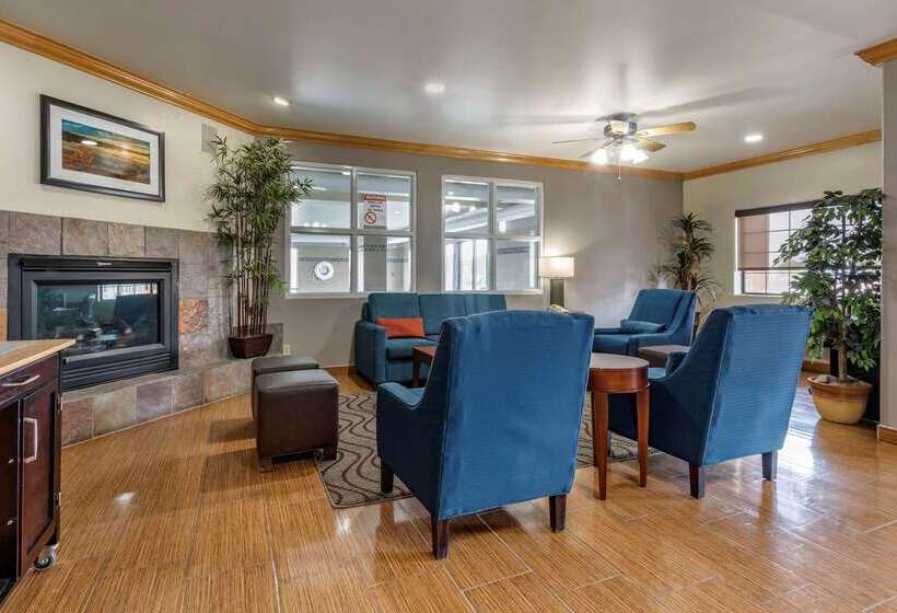 فندق Comfort Inn & Suites