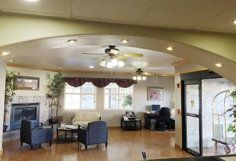 فندق Comfort Inn & Suites