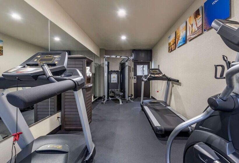 فندق Comfort Inn & Suites