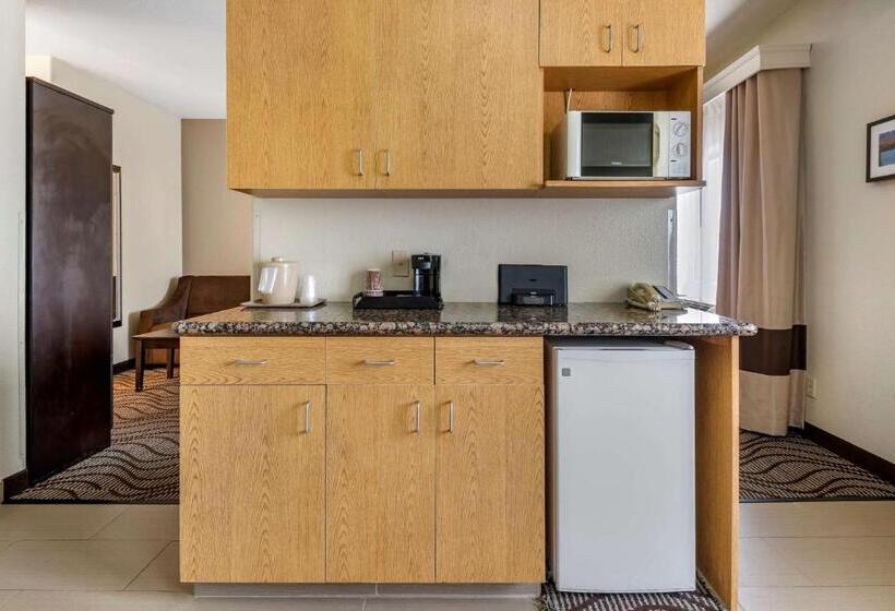 فندق Comfort Inn & Suites