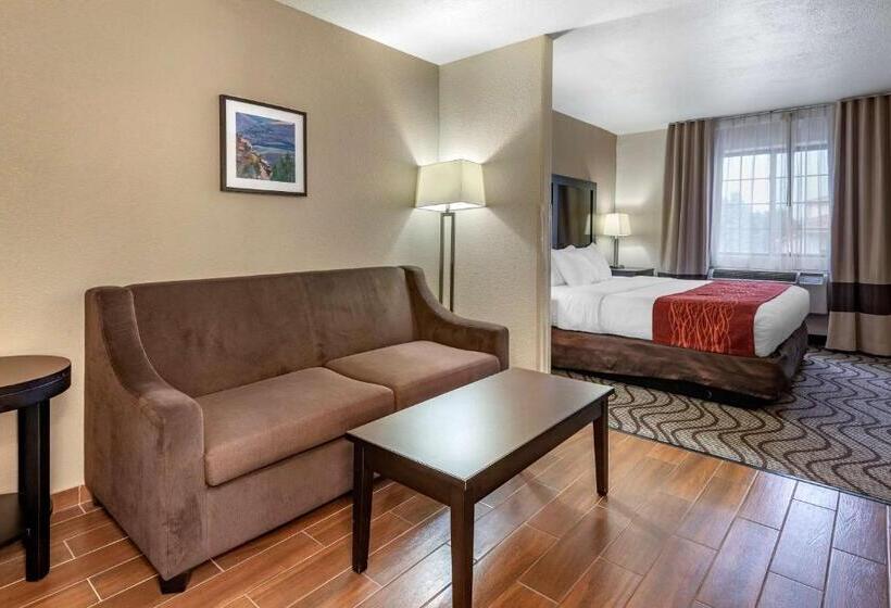 فندق Comfort Inn & Suites