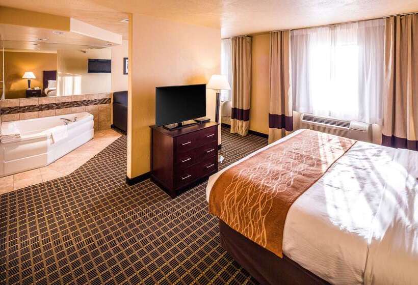 Отель Comfort Inn & Suites Gunnisoncrested Butte