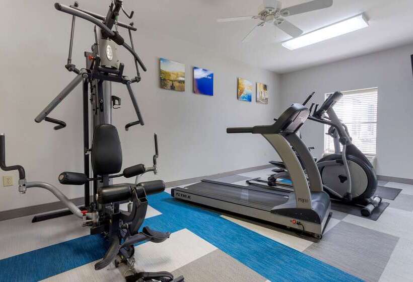 فندق Comfort Inn & Suites Hot Springs Midtown