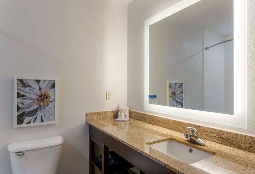 فندق Comfort Inn & Suites Hot Springs Midtown