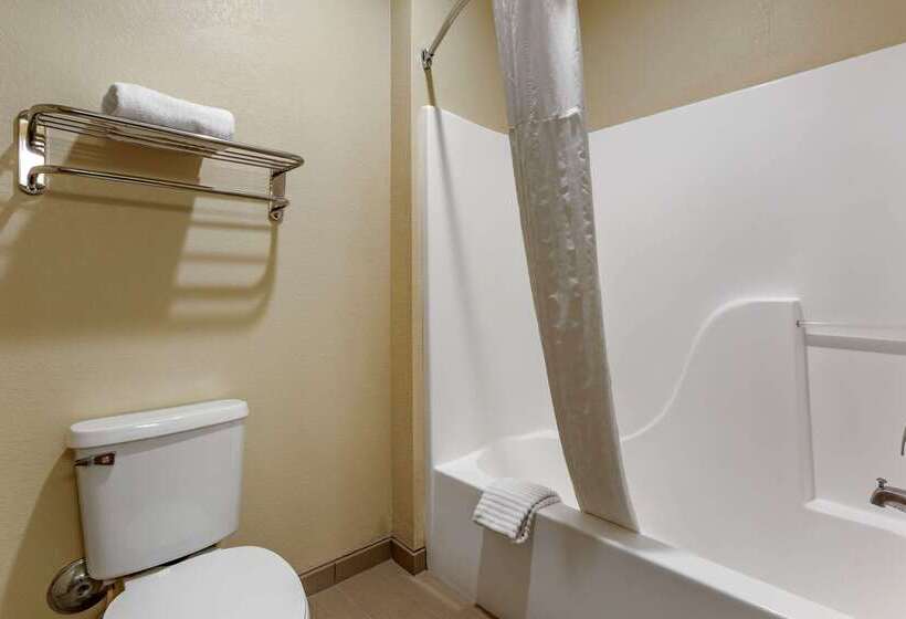 호텔 Comfort Inn & Suites North Tucson Marana