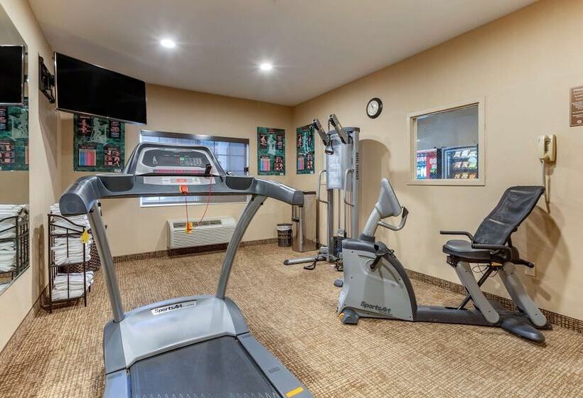 호텔 Comfort Inn & Suites North Tucson Marana