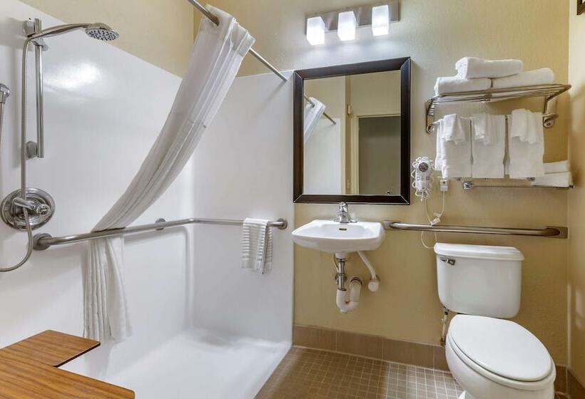 호텔 Comfort Inn & Suites North Tucson Marana