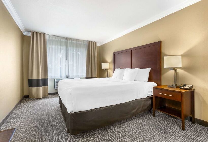 호텔 Comfort Inn & Suites Redwood Country