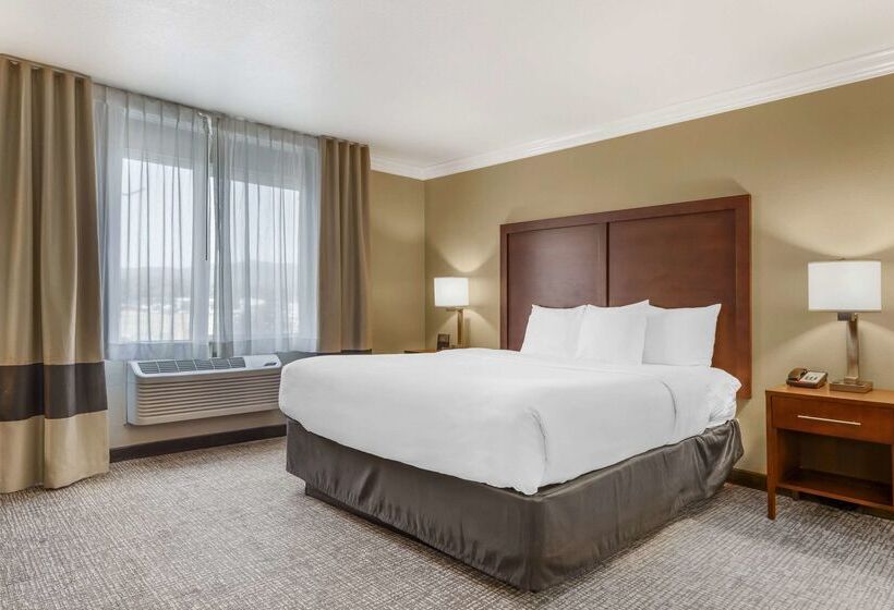 호텔 Comfort Inn & Suites Redwood Country