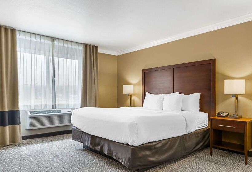 호텔 Comfort Inn & Suites Redwood Country