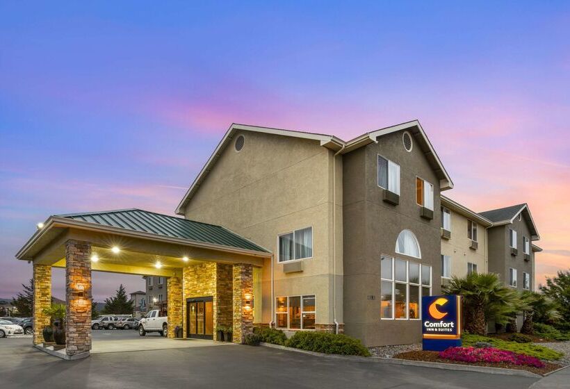 호텔 Comfort Inn & Suites Redwood Country