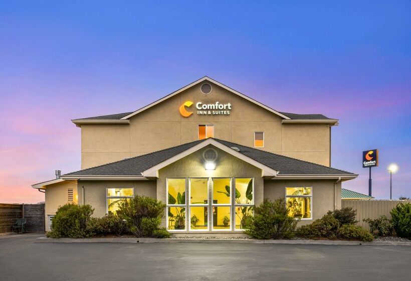 호텔 Comfort Inn & Suites Redwood Country
