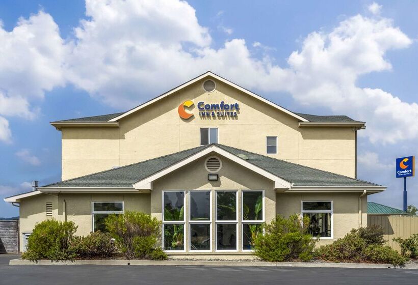 호텔 Comfort Inn & Suites Redwood Country