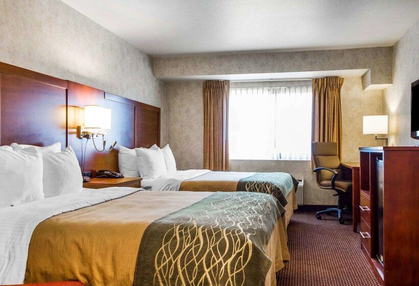 호텔 Comfort Inn Watsonville