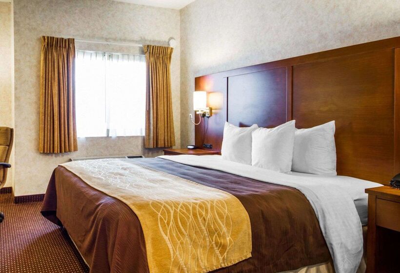 호텔 Comfort Inn Watsonville