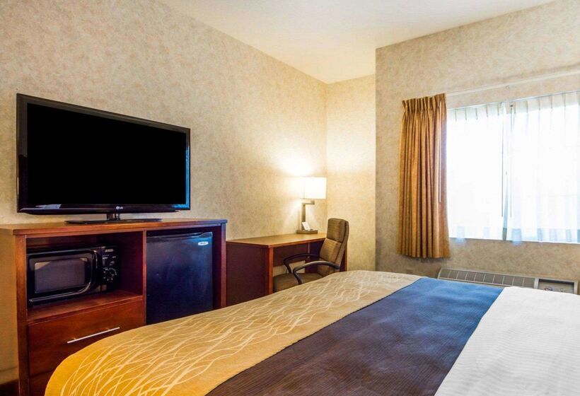 호텔 Comfort Inn Watsonville