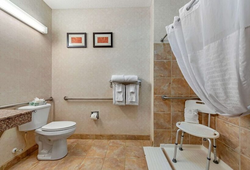 فندق Comfort Suites