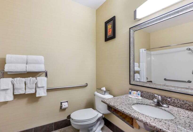 בית מלון כפרי Comfort Suites Denver Tech Center