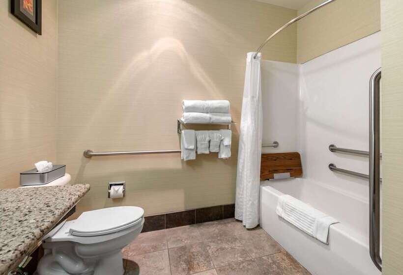 בית מלון כפרי Comfort Suites Denver Tech Center