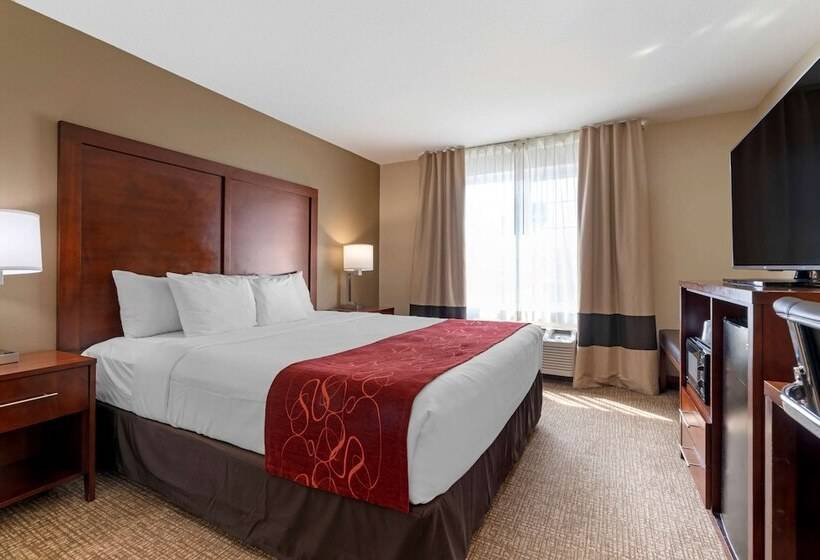 فندق Comfort Suites Downtown Sacramento