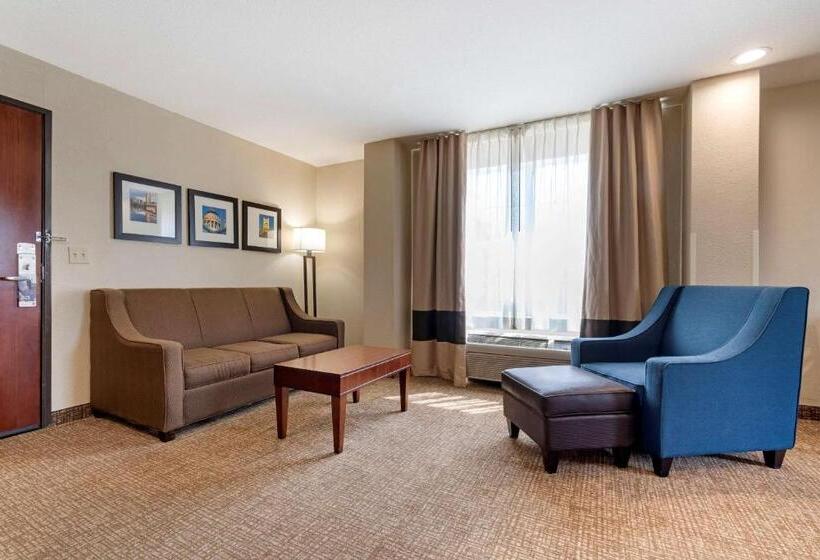 فندق Comfort Suites Downtown Sacramento