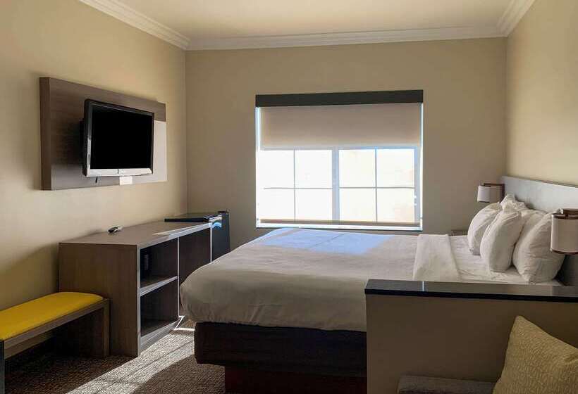 فندق Comfort Suites Oceanside Camp Pendleton Area