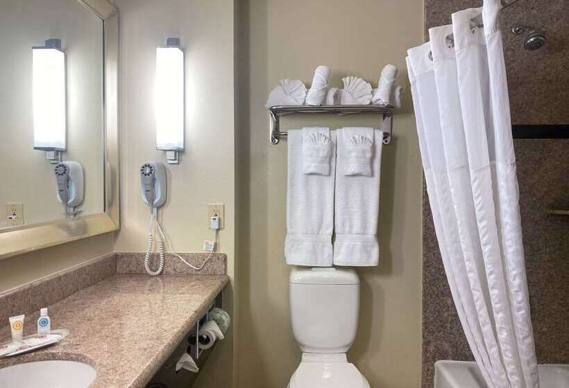هتل Comfort Suites Oceanside Camp Pendleton Area