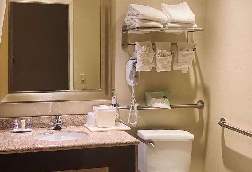 فندق Comfort Suites Oceanside Camp Pendleton Area