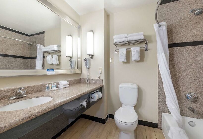 فندق Comfort Suites Oceanside Camp Pendleton Area