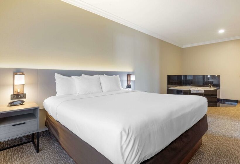 هتل Comfort Suites Oceanside Camp Pendleton Area