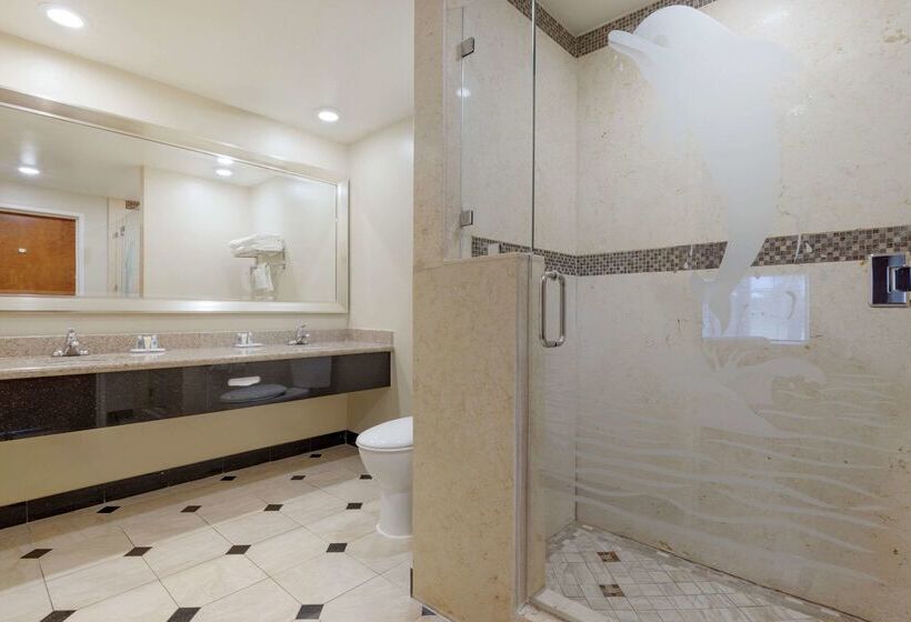 هتل Comfort Suites Oceanside Camp Pendleton Area