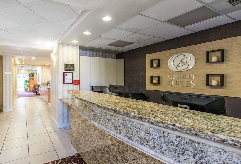 בית מלון כפרי Comfort Suites Palm Desert I10